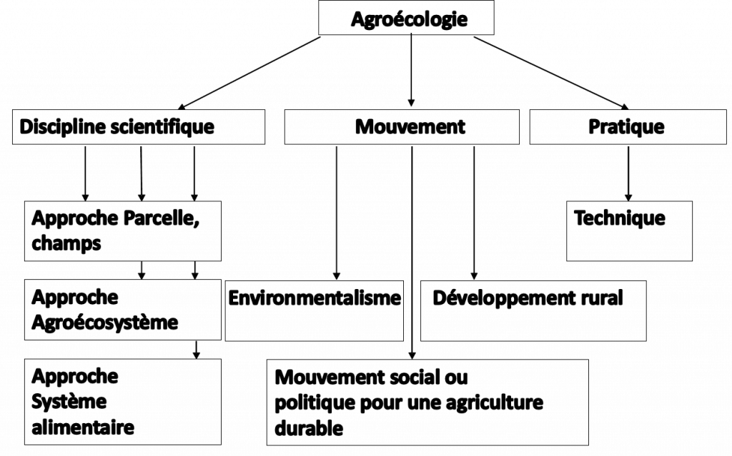 agroecologie éléments & concept